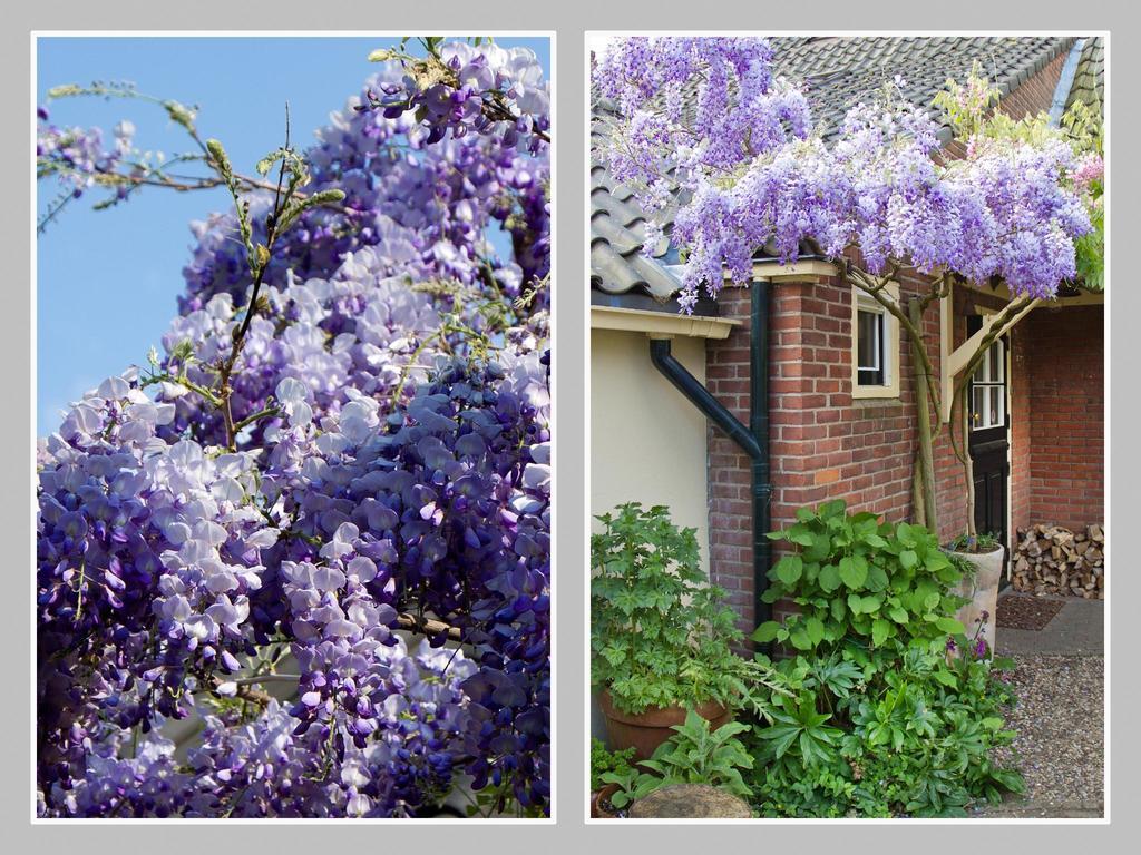 Hoevell Huizen Exteriér fotografie